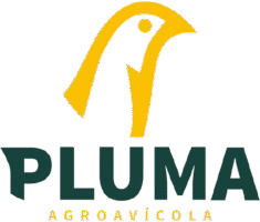 pluma-removebg-preview